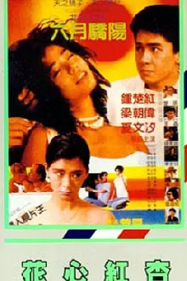 香蕉国产人午夜视频在线观看