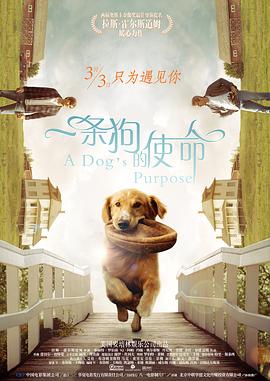 斗转星移女明星