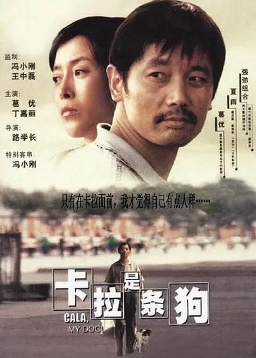 日本成人dvd