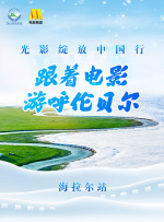 国产区成人精品视频