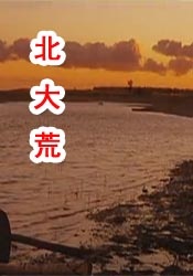 2020年99久久国产精品