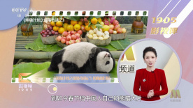 91视频入口